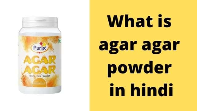 What-is-agar-agar-powder-in-hindi