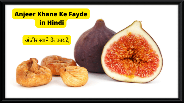 Anjeer Khane Ke Fayde in Hindi